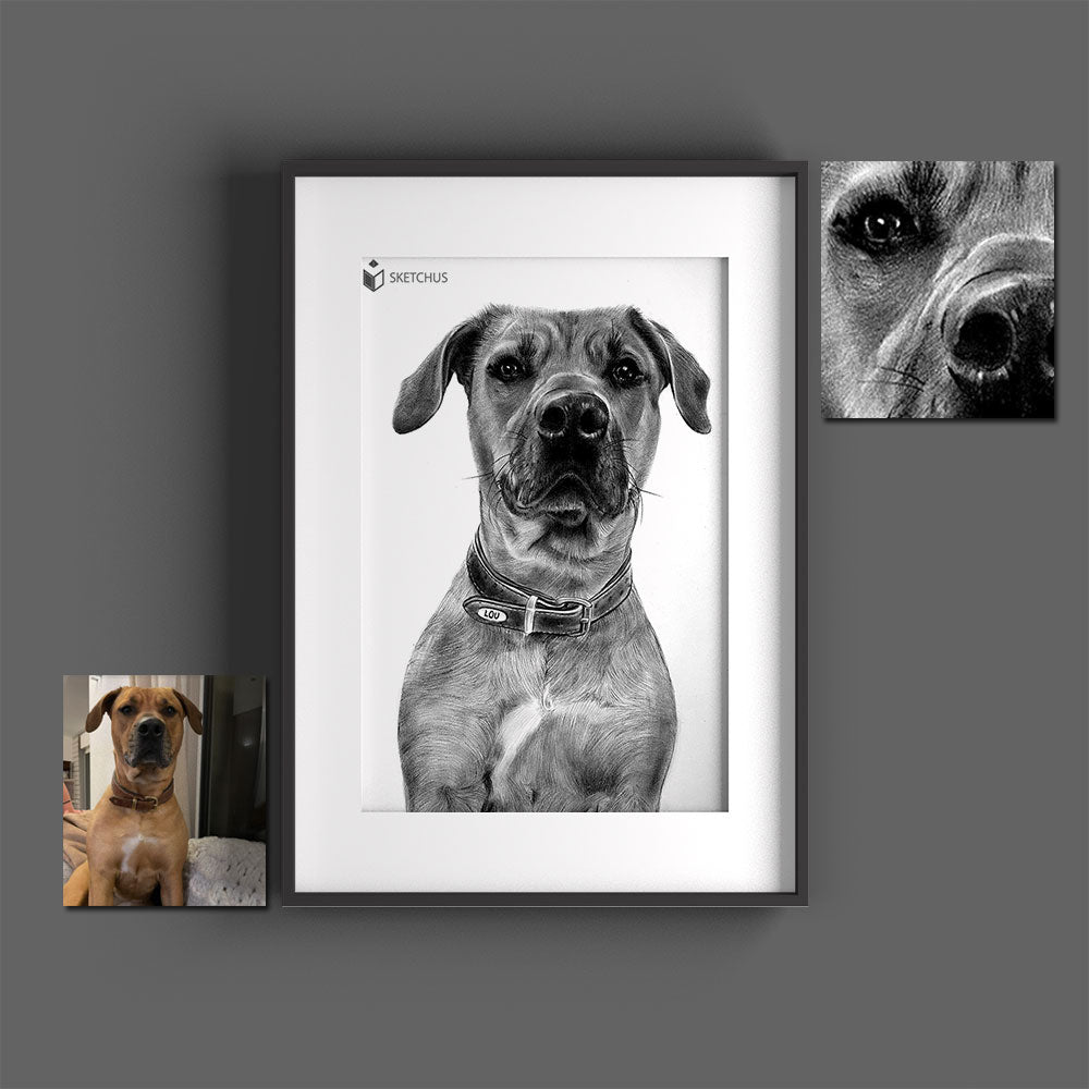 Hundeportraits zeichnen lassen - Hundezeichnung