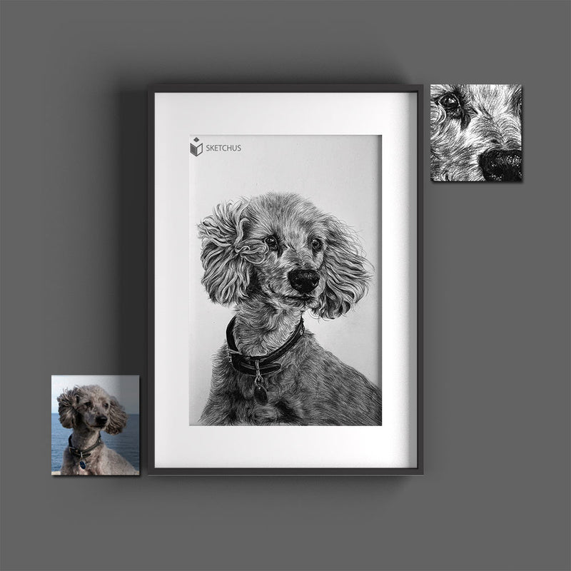 Tierportrait tierzeichnungen schwarz weiss bleistift tiere zeichnen lassen tierbilder skizze Sketchus Tierportrait zeichnen lassen haustier malen lassen nach fotovorlage tier malen lassen haustier portrait